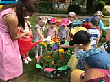 Удивительные свойства воды
